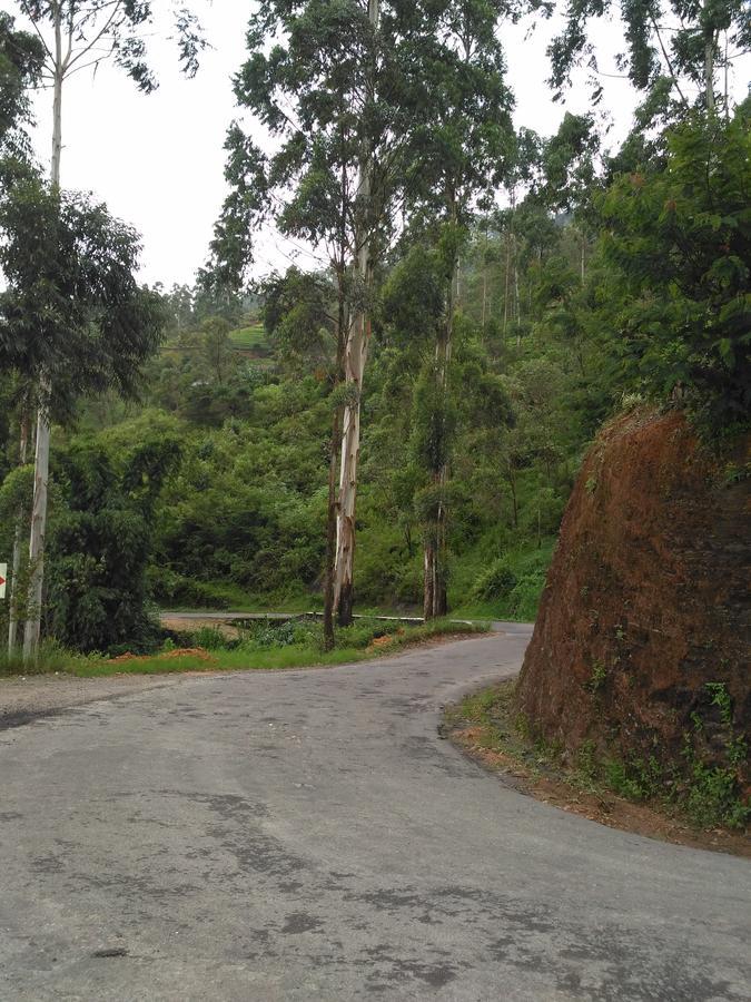Hotel Dam House Maskeliya Exterior foto