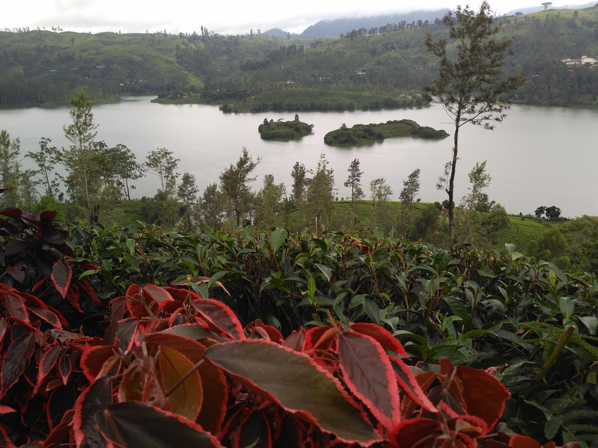 Hotel Dam House Maskeliya Exterior foto